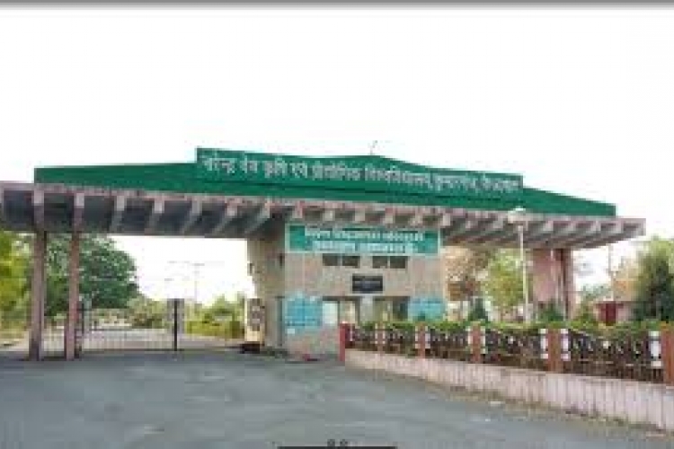 College Campus